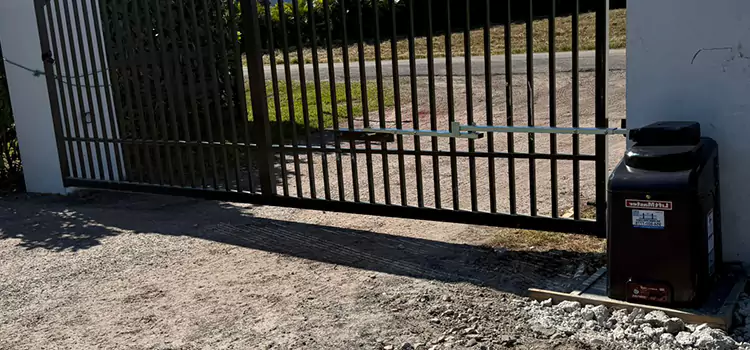 Solar Swing Gate Opener Delson