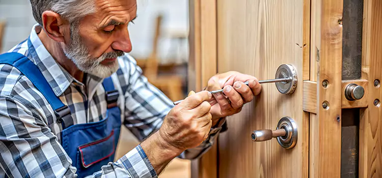 Mortise Replacement Lock Delson